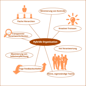 Hybride Organisationen (HR)